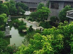 iphone_upload_pic-溱湖国家湿地公园