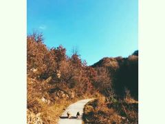 -北京山里寒舍度假酒店