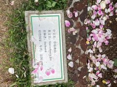 -人民公园(罗湖区)