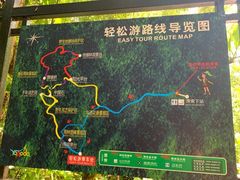 -呀诺达热带雨林