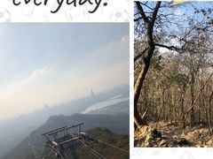 -紫金山山顶公园