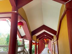 -三水森林公园