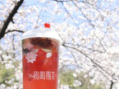 -鸡鸣赐茶(鸡鸣寺路店)