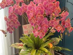 -苏城家宴·金堤花园店(李公堤店)