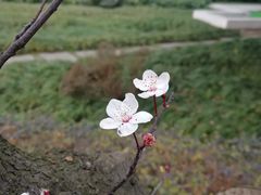 -中国电信(枢纽中心)