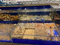 水产区-高佳庄·舟山海鲜(海景旗舰店)