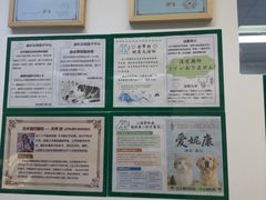 -爱妮康宠物医院·干细胞免疫细胞·肿瘤·心脏(张江店)