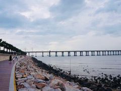 -宝安西湾红树林湿地公园