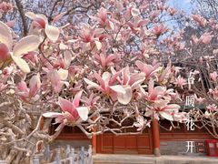 -潭柘寺景区