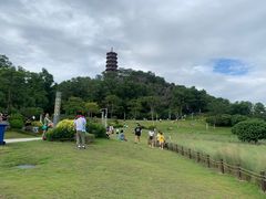 -红花山公园
