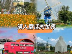 -荷兰花海