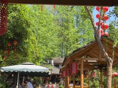 -青城甲(青城山店)