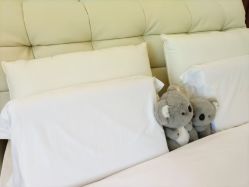 -生命加•Q考拉月子会所(玫瑰园店)