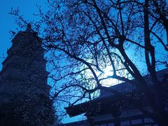 -大慈恩寺(大雁塔)