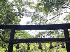 -野宫神社