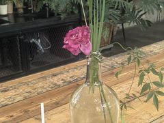 -北马山庄植趣咖啡