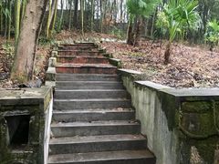 -报恩禅寺