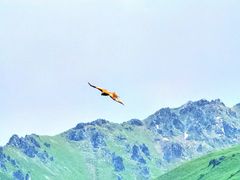 -新疆那拉提国家旅游度假区