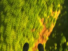 -蓝精灵乐园·世茂精灵之城主题乐园