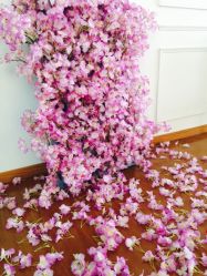 -星宝贝儿童摄影