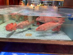 -阿伟海鲜楼·福建菜(延寿店)