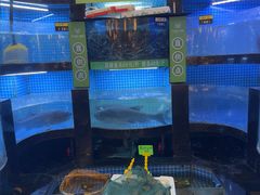 -千岛湖小鱼儿·淳安匠心农家菜