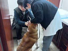 -美联众合动物医院·24h转诊中心