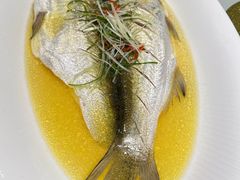 -天福苑(崇宁路店)