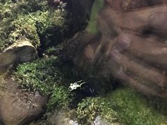 -暹罗海洋世界