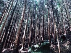 -山王坪喀斯特国家生态公园