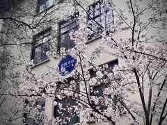 -南京林业大学-图书馆