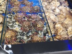 -皇朝海鲜酒店