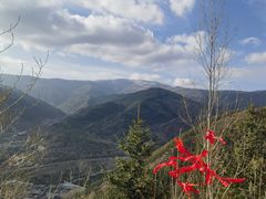 -五台山风景区
