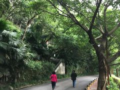 -重庆彩云湖湿地公园