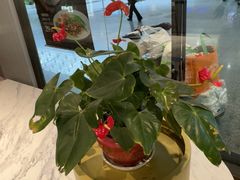 -康师傅私房牛肉面(申虹店)