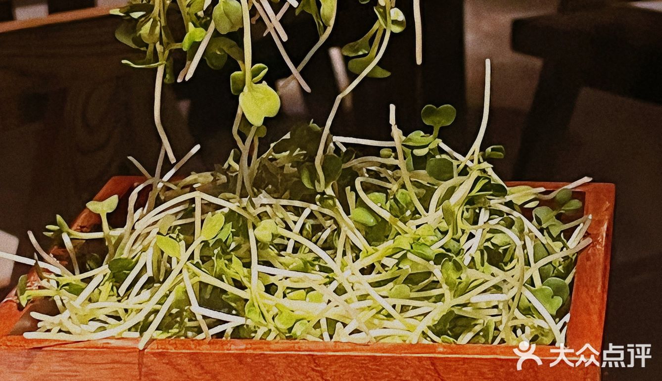 广州湘菜届爱马仕级别餐厅～湘颂