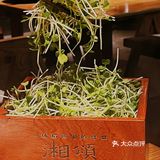 广州湘菜届爱马仕级别餐厅～湘颂
