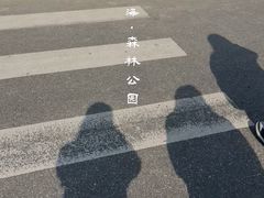 -黄海国家森林公园