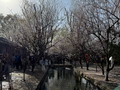 -春风习习