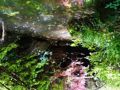 -杭州半山国家森林公园