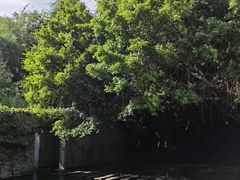 -燕晗山郊野公园