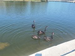 -长春世界雕塑园冰雪艺术天地