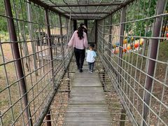 -清远熹乐谷温泉度假酒店