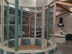 -碧中海汤泉汗蒸酒店