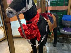 -乔家小院•本地小海鲜•非遗驴肉(万年泉路店)