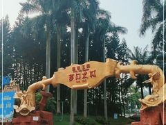 -珠海梦幻水城