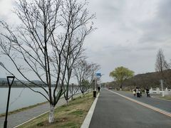 -羊山湖公园