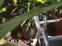 -旧天堂书店(华侨城创意文化园南山特色文化街区店)