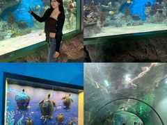 -福州罗源湾海洋世界旅游区