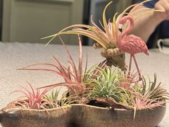 -虹御轩·传承江浙菜(虹桥店)